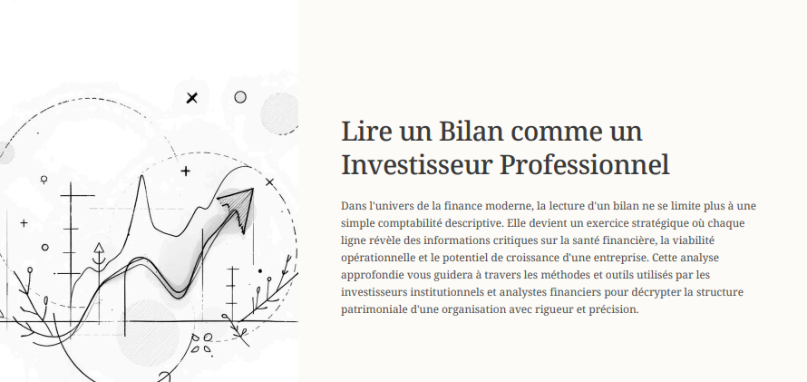 Ebook lire un bilan