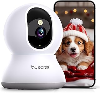 blurams Caméra Surveillance WiFi 2K, Caméra Bébé Intelligent 360°, Caméra Intérieure Bébé/Chat/Chien/Maison, Vision Nocturne Couleur, Détection Humaine IA, Audio Bidirectionnel, Alexa (A31S, Blanc) niche blurams camera surveillance wifi 2k came