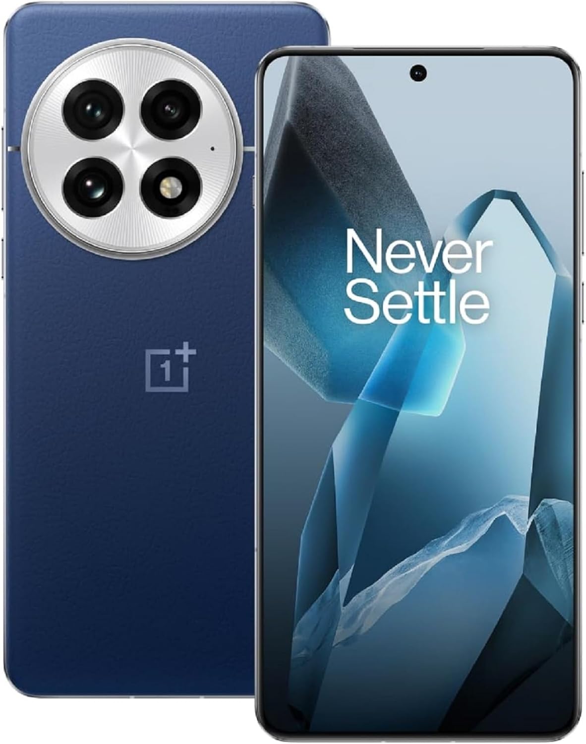 OnePlus 13